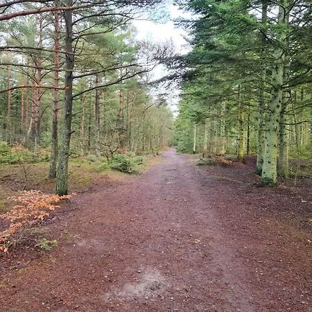 8 Person In Albaek-by Traum *