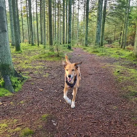 8 Person In Albaek-by Traum Tatil Evi Ålbæk
