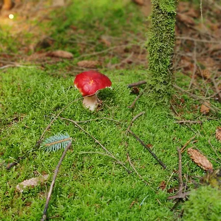 Tatil Evi 8 Person In Albaek-by Traum