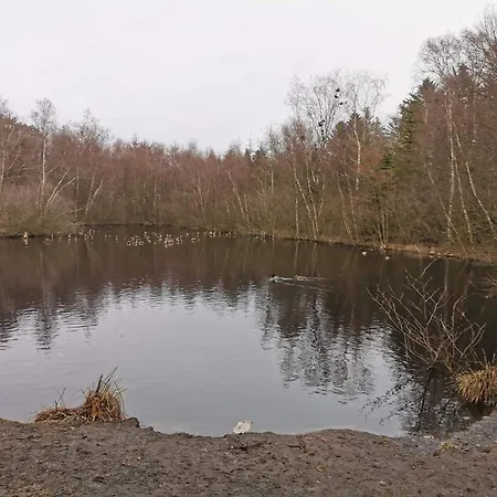 4 Star In Ålbæk